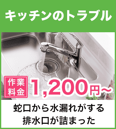 キッチン（台所）の蛇口の水漏れ修理 伊丹市